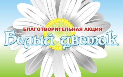 СТАРТУЕТ АКЦИЯ БЛАГОТВОРИТЕЛЬНОСТИ И МИЛОСЕРДИЯ “БЕЛЫЙ ЦВЕТОК”